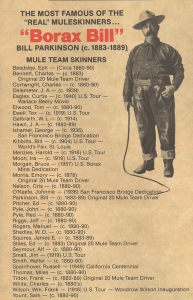 20 mule team drivers